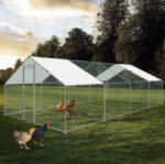 Malla Hexagonal Pollito 25 X 1 Metros De 1/2 Pulgada - Imagen 5