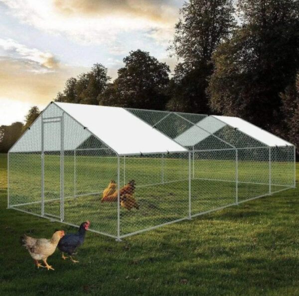 Malla Hexagonal Pollito 25 X 1 Metros De 1/2 Pulgada - Imagen 5