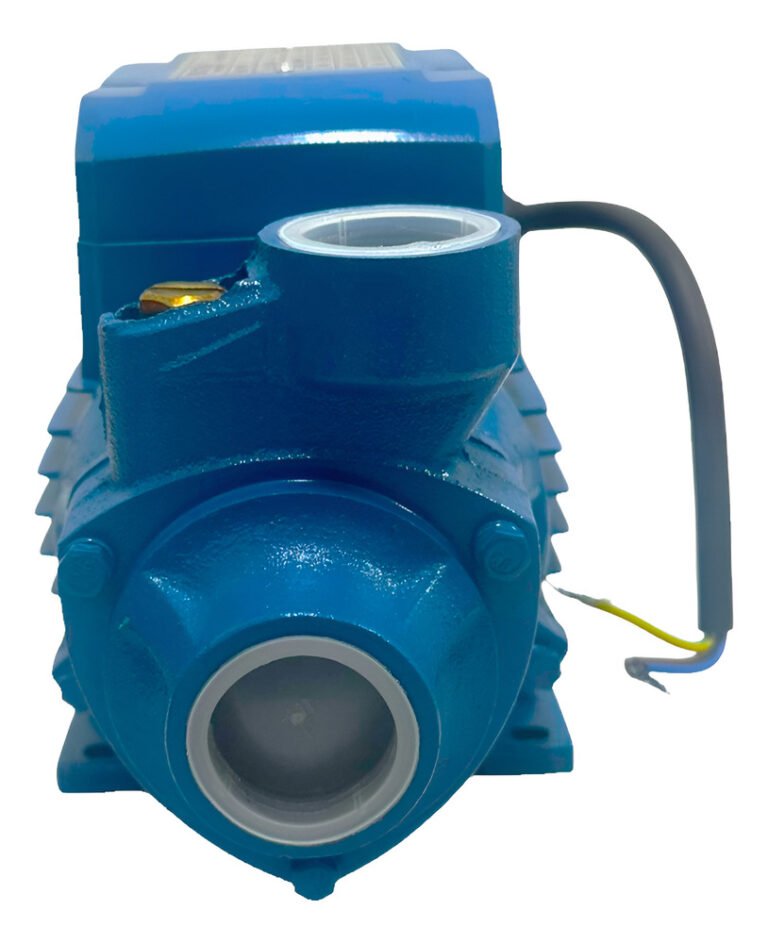 Bomba Agua Periférica 1 Hp O Caballos De Fuerza Tienda Ccs - Imagen 4