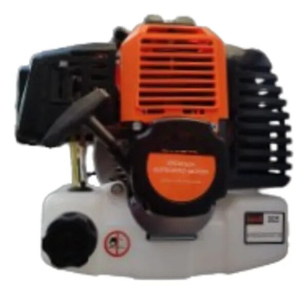 Motor Fuera De Borda Bote Lancha - Imagen 3