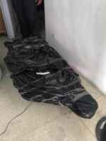 Carretilla Carrucha De Albañil Construcción Escombros 55lts - Imagen 6