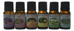 Esencias Aromáticas Humificador Aceite Buen Olor X 6un 10ml - Imagen 2